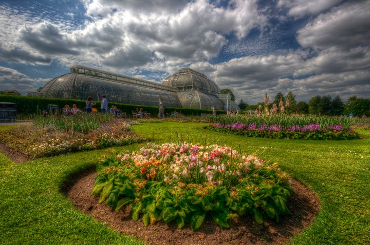 Kew gardens.jpg